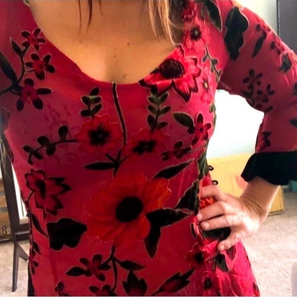 VINTAGE Silk  Velvet Victorian Dress